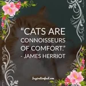 Meet your Posher, Ruth